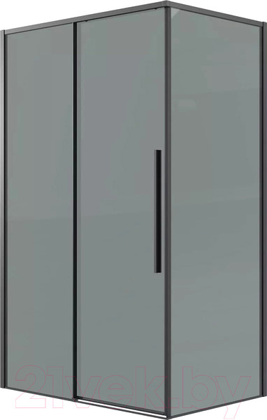 Душевая стенка Grossman Galaxy 100х195 / 200.K33.01.100.21.10