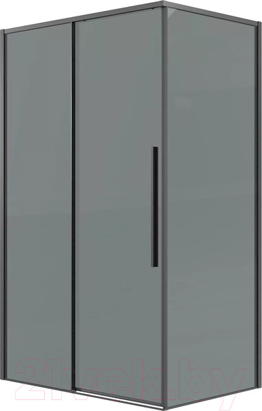 Душевая стенка Grossman Galaxy 100х195 / 200.K33.01.100.42.10