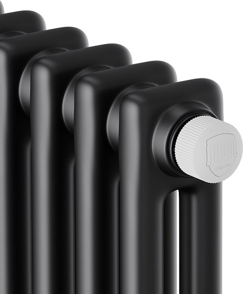 Радиатор стальной Royal Thermo Insignia VC2180 14 секций RAL9005m