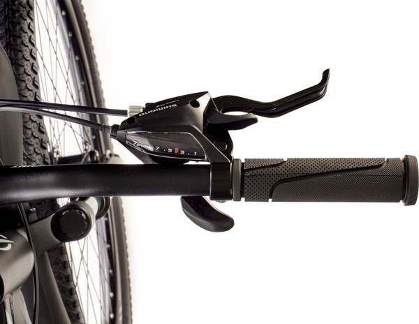 Велосипед FAVORIT Buffalo-29MDS / BUF29MD17BK