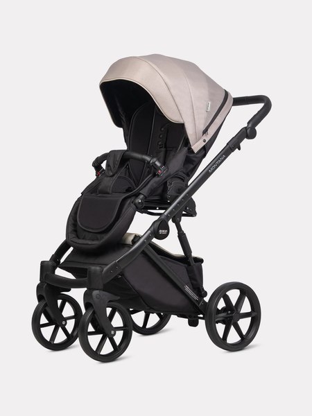 Детская универсальная коляска Riko Montana 2в1 Plus