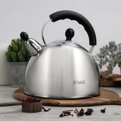 Чайник со свистком TalleR TR-11375