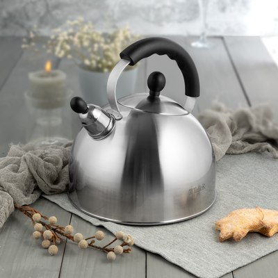 Чайник со свистком TalleR TR-11375