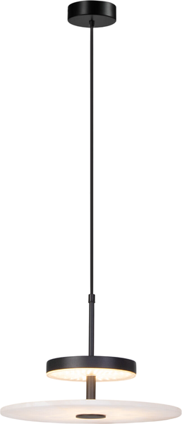 Потолочный светильник Евросвет Thasos 40342 LED 3000 - фото