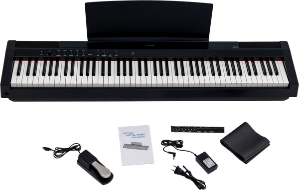 Цифровое фортепиано Aramius APH-120 BK