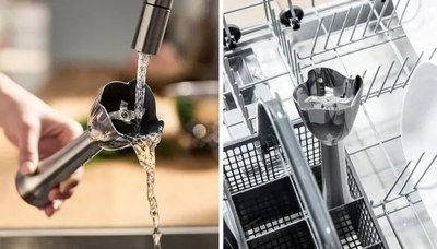 Блендер погружной Bosch MS6CM61V2