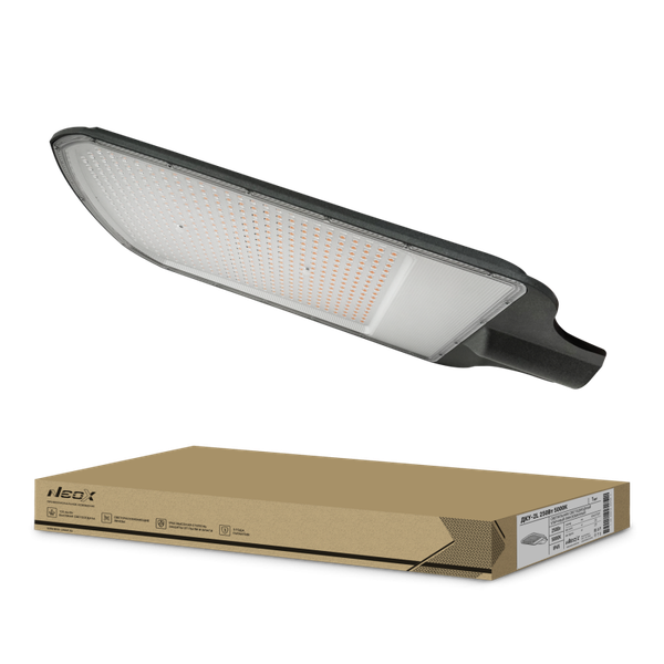 Светильник уличный Neox ДКУ-2L / 4690612057507