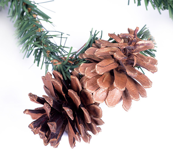 Гирлянда еловая Neon-Night С шишками 307-221