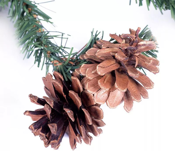 Гирлянда еловая Neon-Night С шишками 307-221