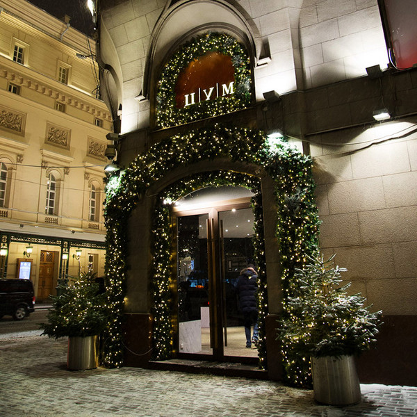 Гирлянда еловая Neon-Night С шишками 307-221