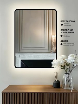 Зеркало Emze Smartphone 50х70 / LED.UV.SMART.50.70.CHE.4K