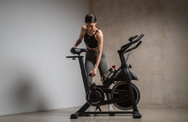 Велотренажер Orlauf Lark 16452