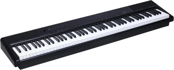 Цифровое фортепиано Medeli SP-C120