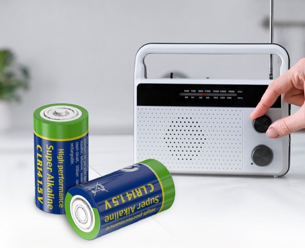 Комплект батареек EnerGenie Alkaline EG-BA-LR14-01