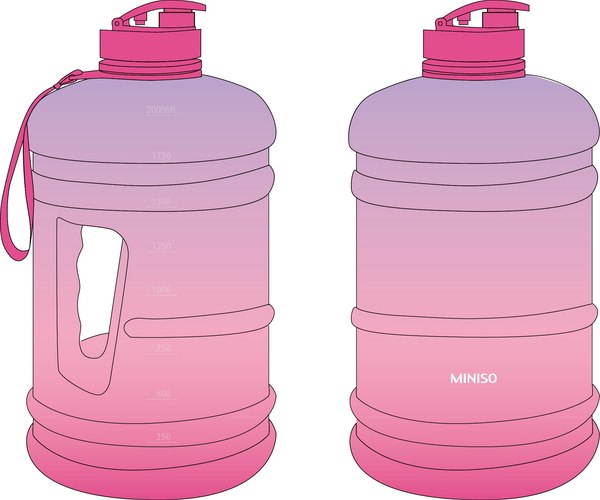 Бутылка для воды Miniso Gradient 3392