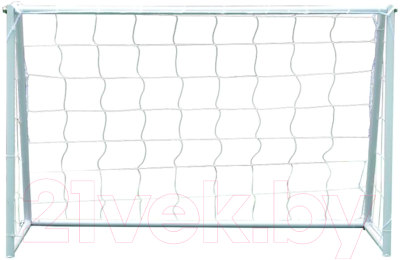 Футбольные ворота DFC GOAL302