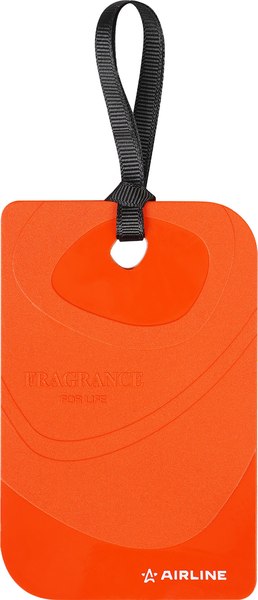 Ароматизатор автомобильный Airline Card Perfume Cedar Wood and Cinnamon / AFCA307 - фото