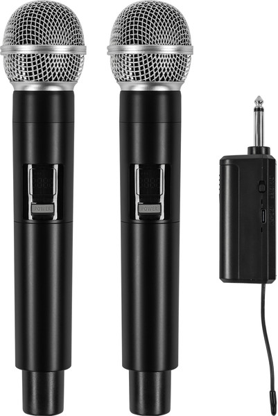 Радиосистема микрофонная ROKSO RMS-В2 - фото