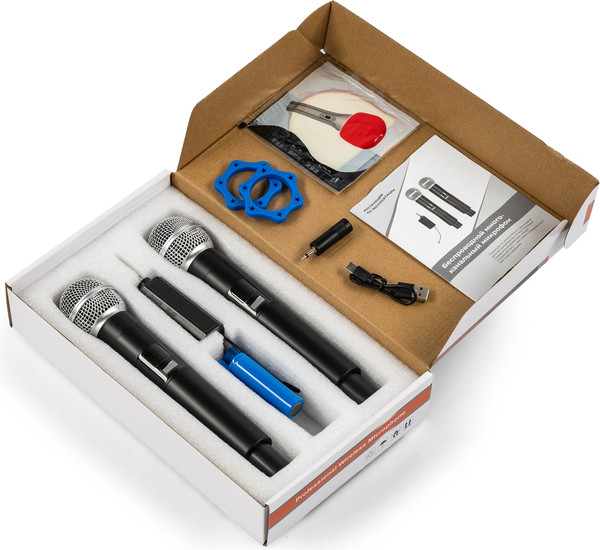 Радиосистема микрофонная ROKSO RMS-В2