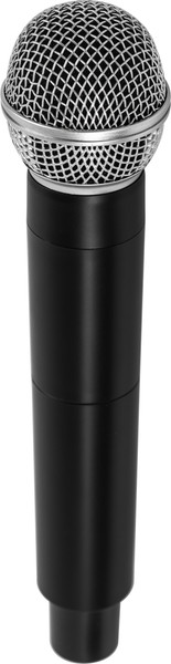 Радиосистема микрофонная ROKSO RMS-В2