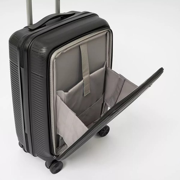 Чемодан на колесах Francesco Molinary 344-012/2-20BLK