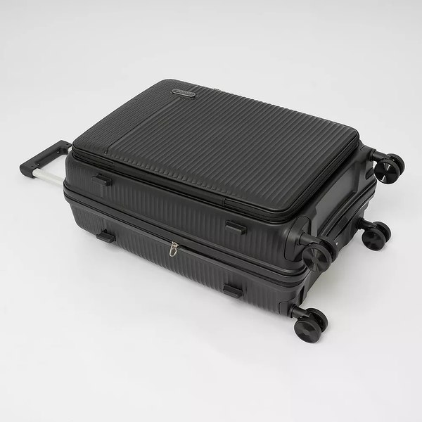 Чемодан на колесах Francesco Molinary 344-012/2-24BLK