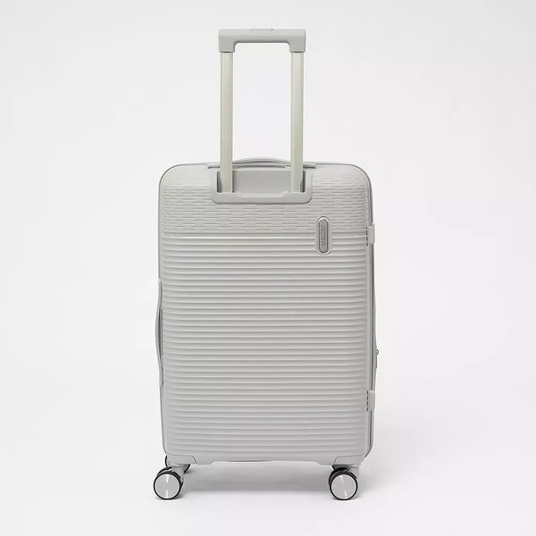 Чемодан на колесах Francesco Molinary 344-012/2-24SLV