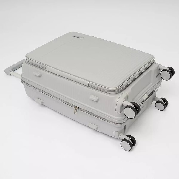 Чемодан на колесах Francesco Molinary 344-012/2-24SLV