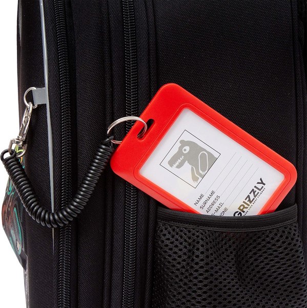 Школьный рюкзак Grizzly RAz-587-9