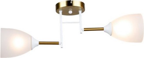 Потолочный светильник Mirastyle SX-N-2216/2 WT+COP - фото