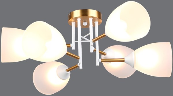 Потолочный светильник Mirastyle SX-N-2216/6 WT+COP - фото