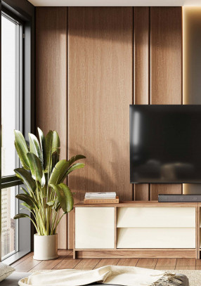 Тумба Стендмебель Рейн ТВ 01 под ТВ