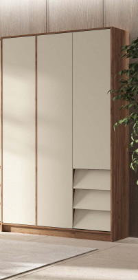 Шкаф Стендмебель Рейн ШК 02 3-х створчатый