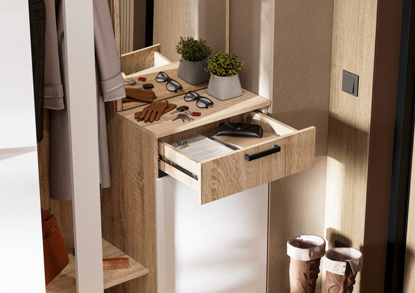 Секция в прихожую Стендмебель Санса ПР-01 (белый/дуб сонома)