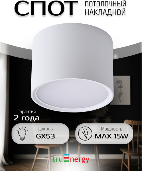Точечный светильник Truenergy 21004