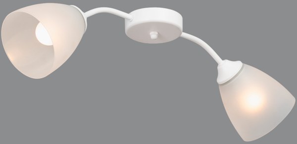 Потолочный светильник Vitaluce V3750/2PL - фото