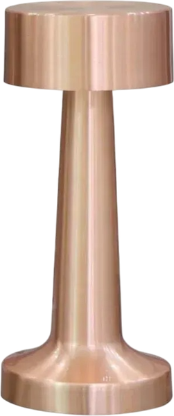 Прикроватная лампа Aployt Perrayn APL.671.04.01 - фото