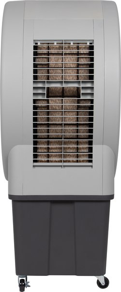 Охладитель воздуха Ballu BCOOL-60L JT