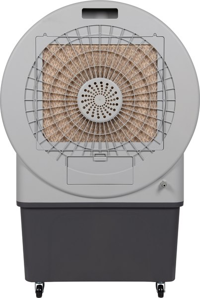 Охладитель воздуха Ballu BCOOL-60L JT