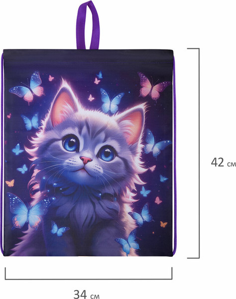 Мешок для обуви Brauberg Kids. Curious / 273434