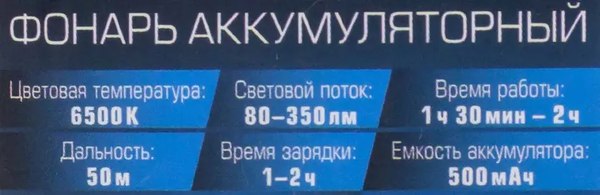 Фонарь Forsage 60 493 / F-EL2303