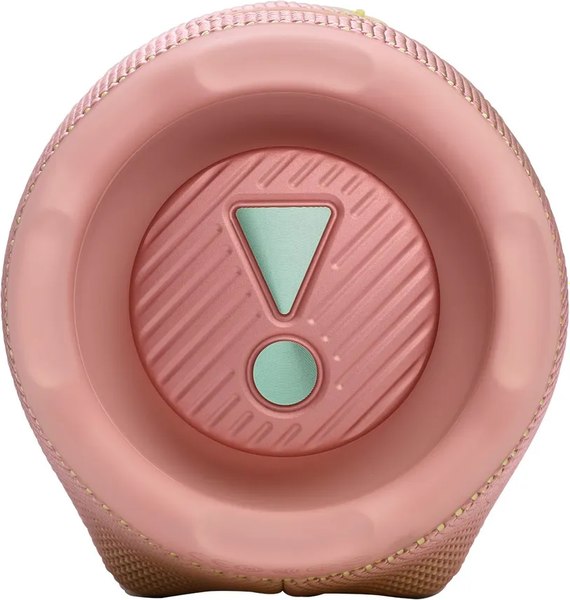 Портативная колонка JBL Charge 6