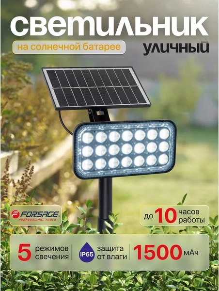 Светильник уличный Forsage F-WL6010