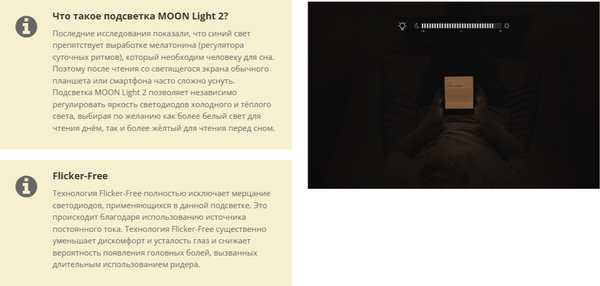 Электронная книга Onyx Boox Raphael 2