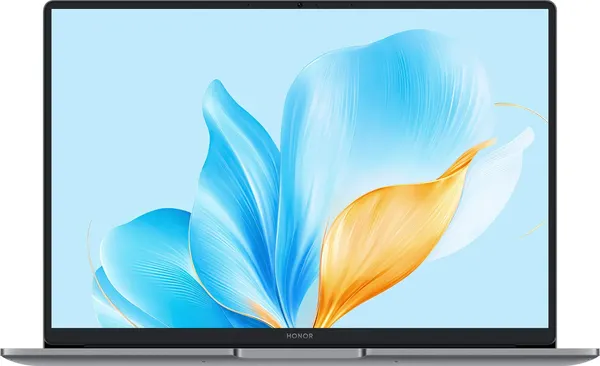 Ноутбук Honor MagicBook X14 2025 FRG-X (5301ALWJ)