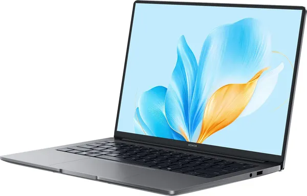 Ноутбук Honor MagicBook X14 2025 FRG-X (5301ALWJ)