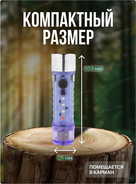 Фонарь Forsage F-CAM590