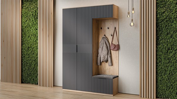 Секция в прихожую ТриЯ Хилтон №4 / 251068