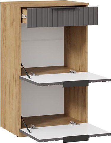 Секция в прихожую ТриЯ Хилтон №5 / 251070