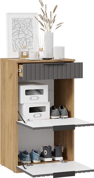 Секция в прихожую ТриЯ Хилтон №5 / 251070